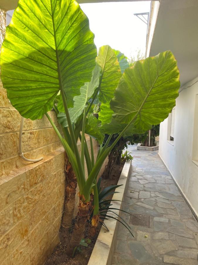 Little Cottage Athen Exterior foto